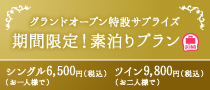 期間限定！素泊りプラン